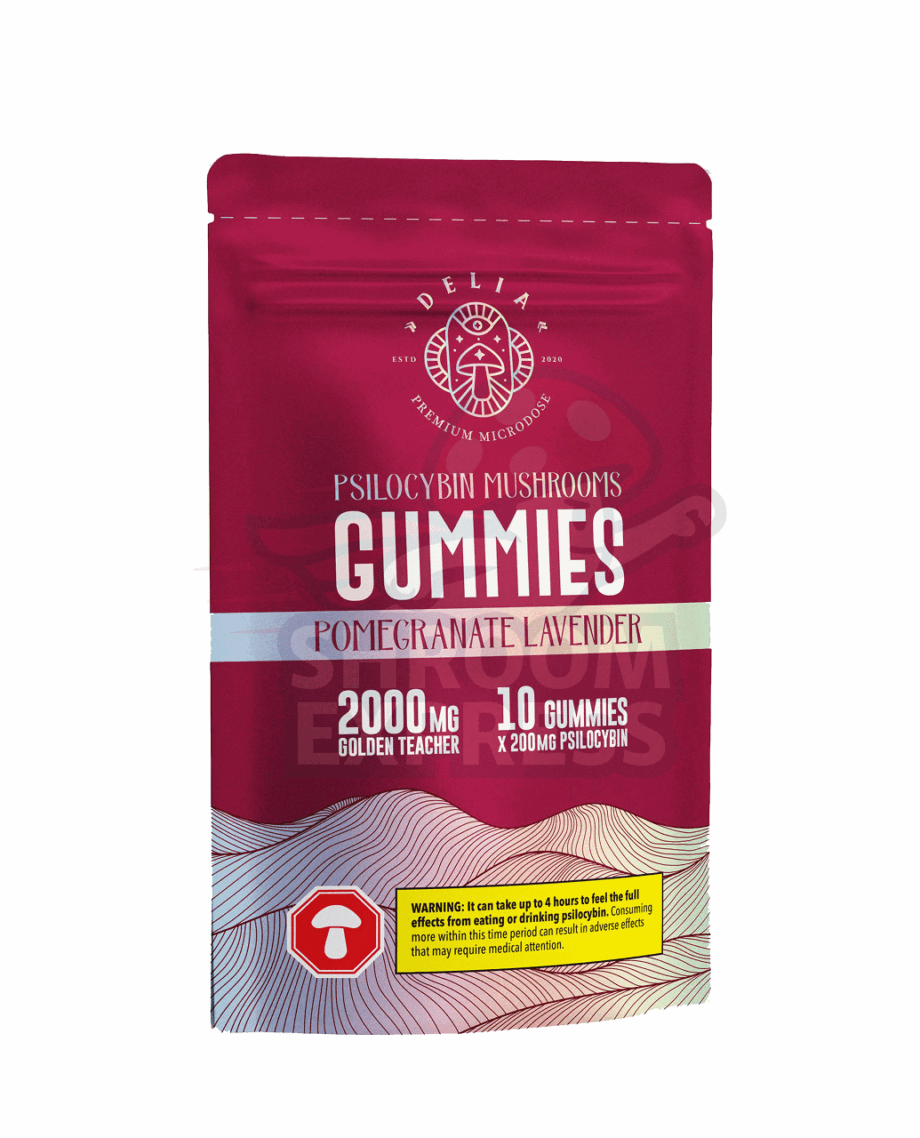 Pomegrante + Lavender - Image 1