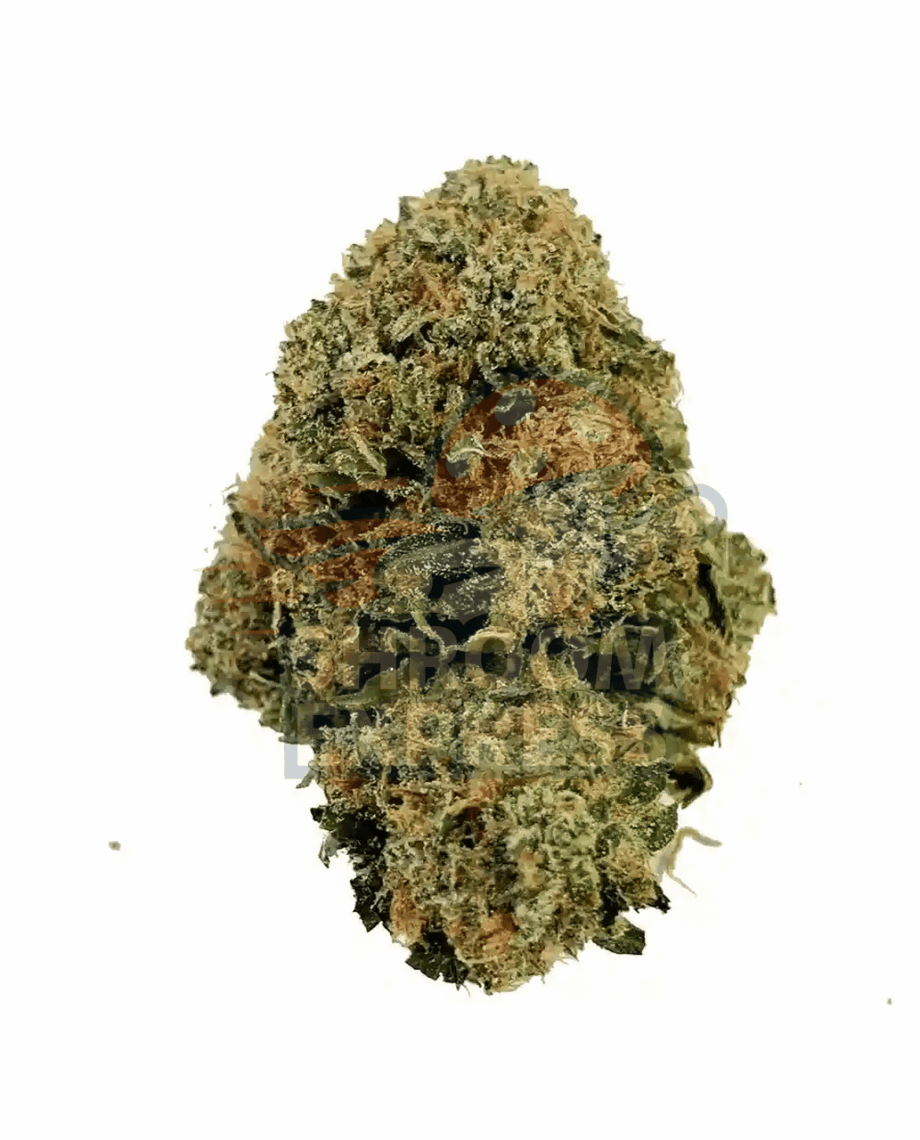 Pink Starburst - Image 1