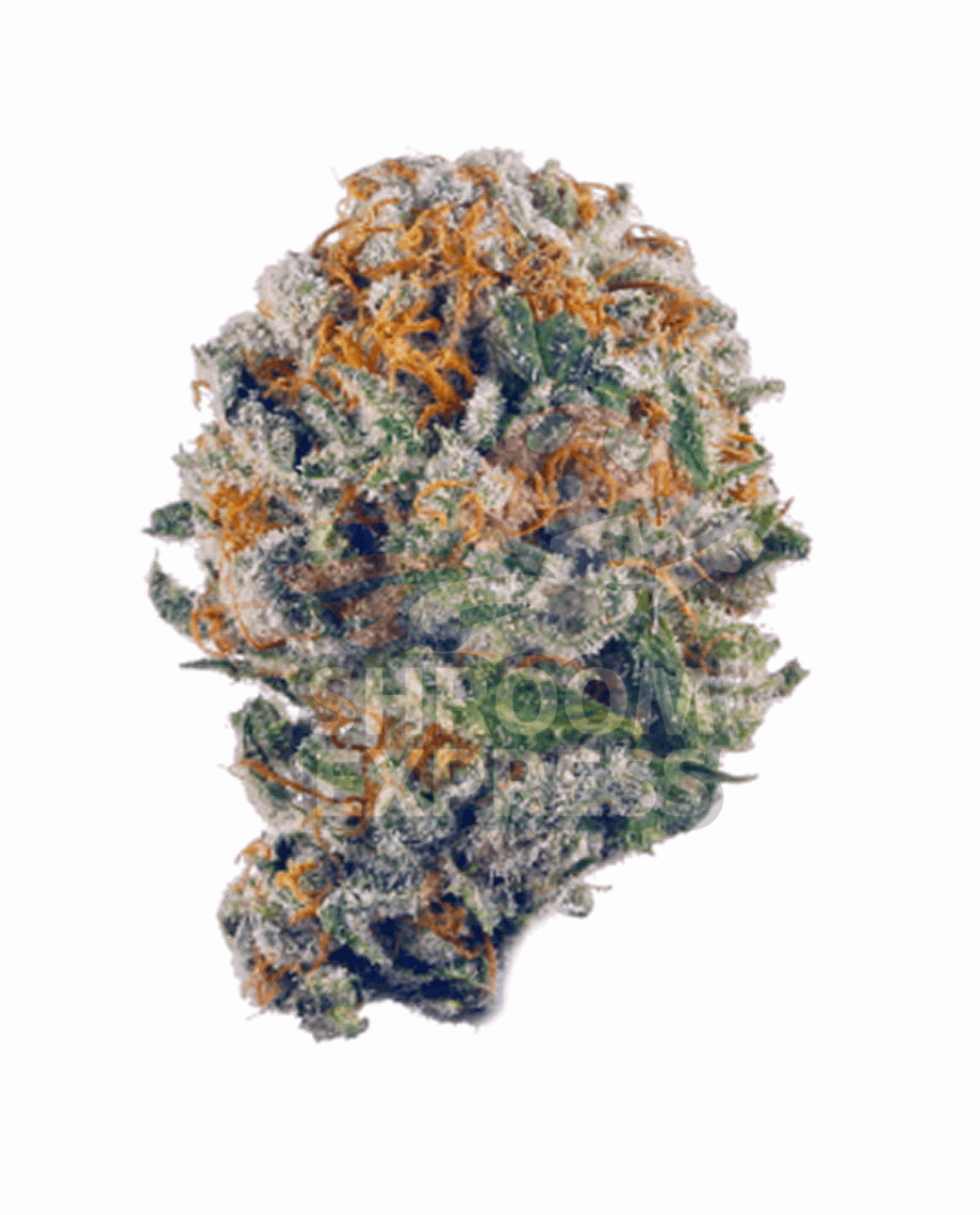 platinum cake Platinum Cake - Image 1