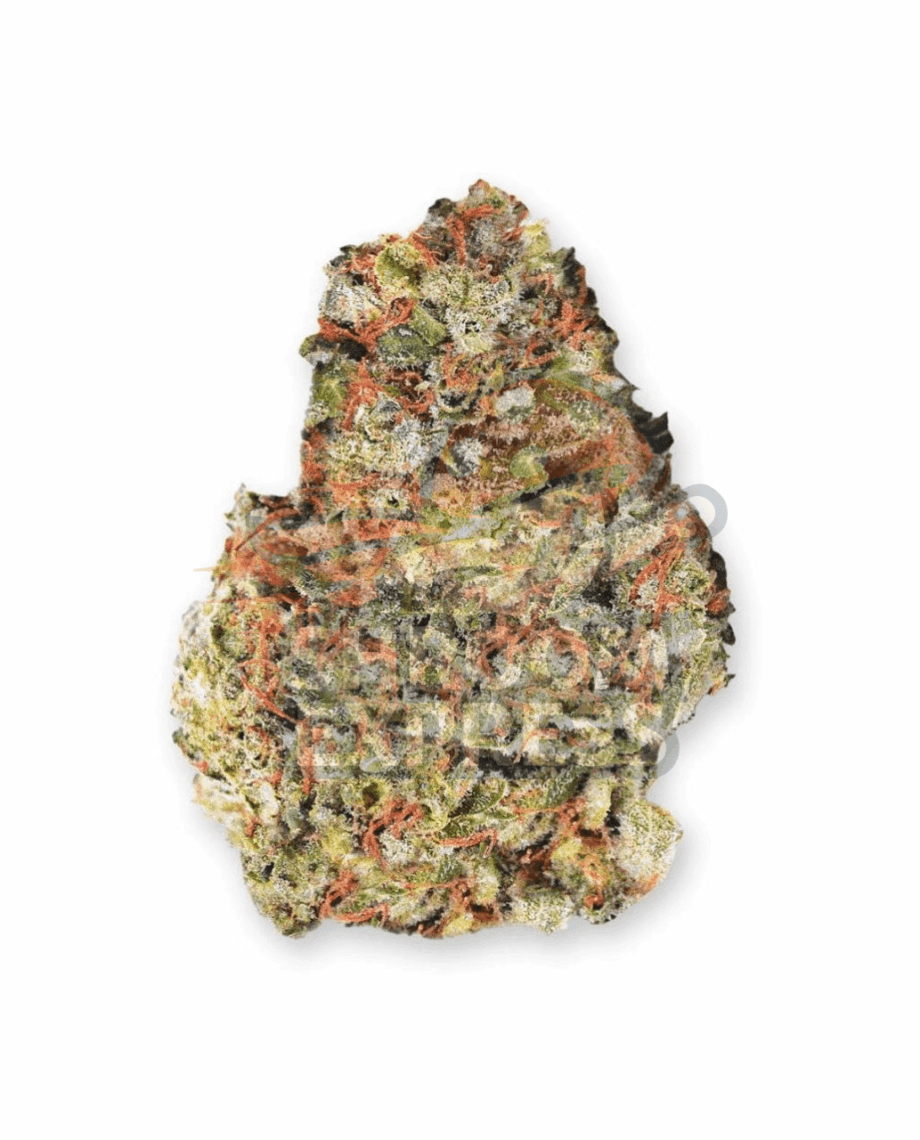 Sunshine Haze - Image 1