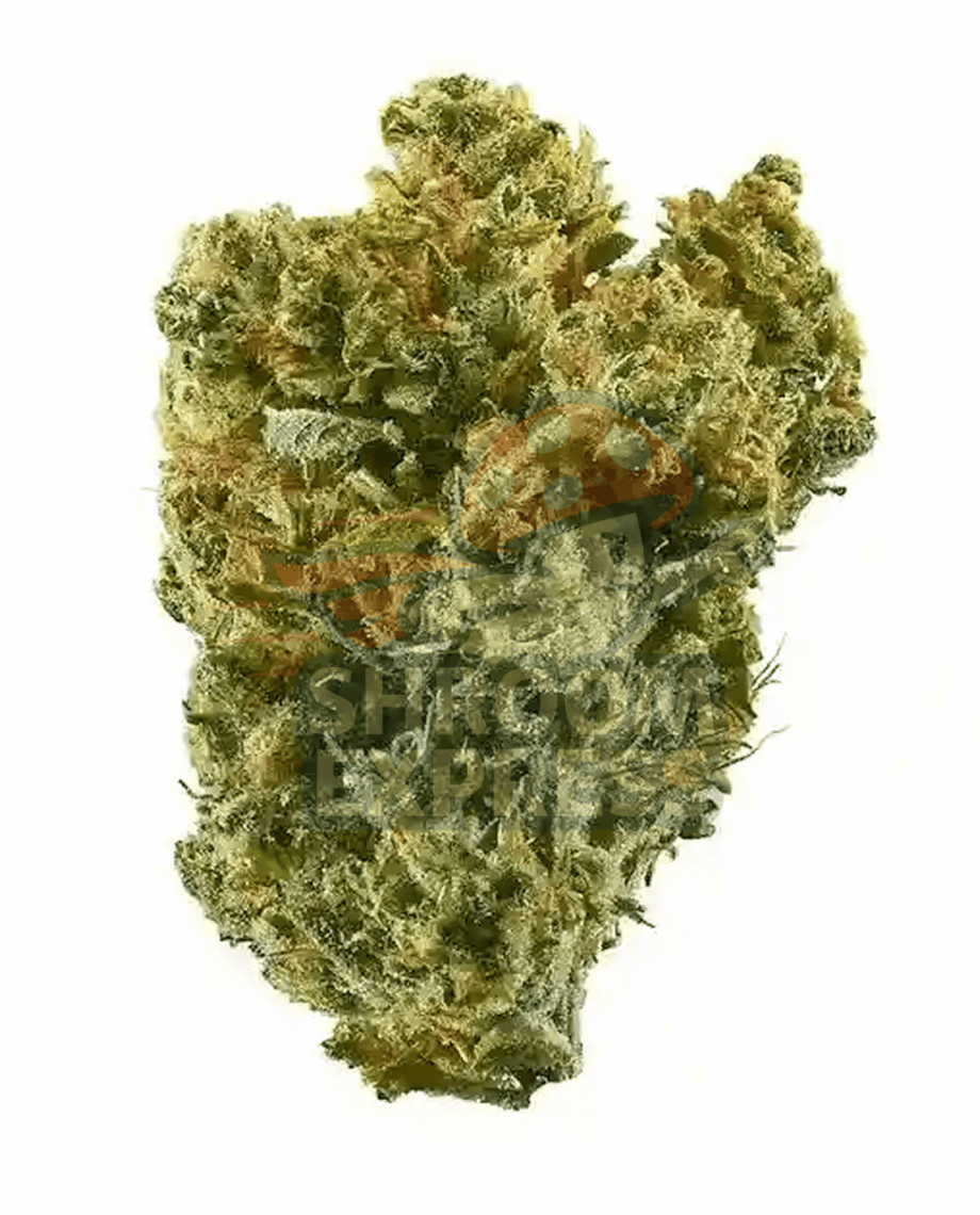 Super Silver Haze - Image 1